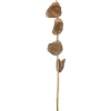 Kunsttak Capiz Taupe