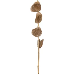 Kunsttak Capiz Taupe