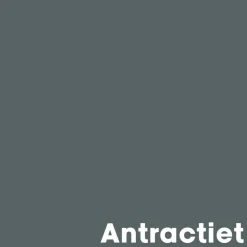 Muurverf Mat Antraciet 2.5 L