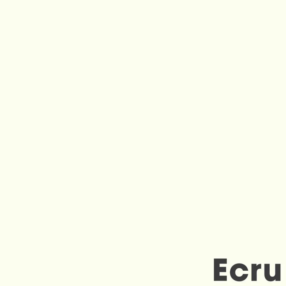 Muurverf Mat Ecru 2.5 L
