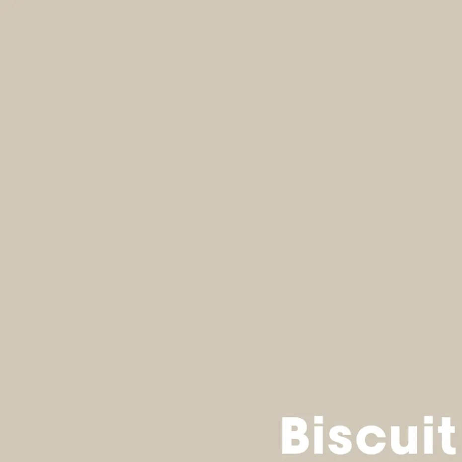 Muurverf Professional Biscuit 1 L