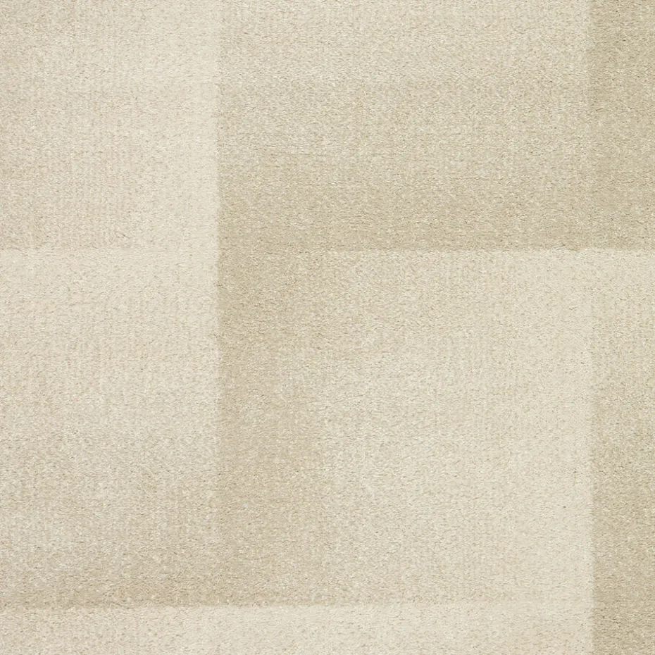 Vloerkleed Anvik Beige 200x290 Cm